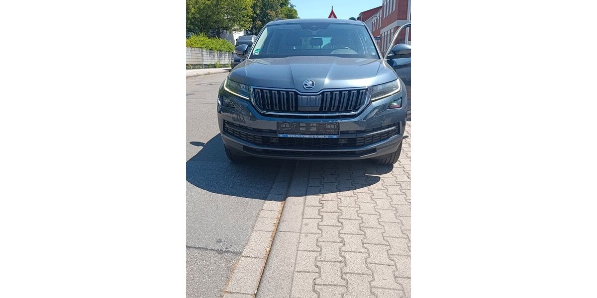 Skoda Kodiaq 142.079 km 23.499 &euro; Mannheim 68219