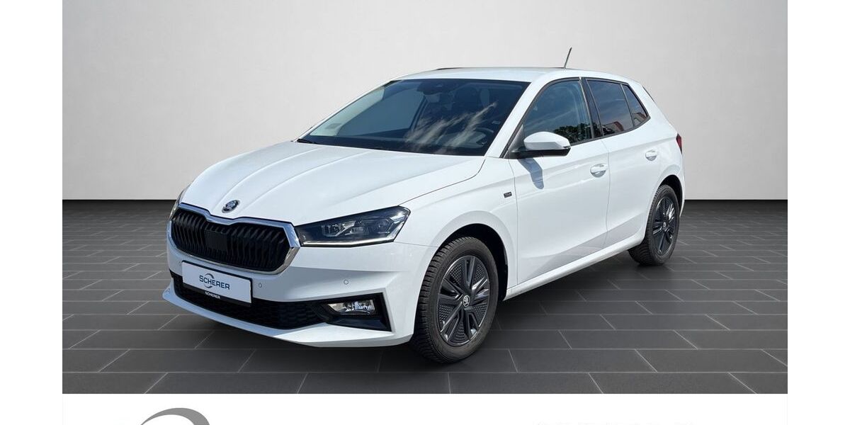 Skoda Fabia 26.896 km 20.490 &euro; Ludwigshafen 67063