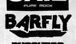 Jail + Barfly + Executor - Hard 'n' Heavy Revival Vol. 2
