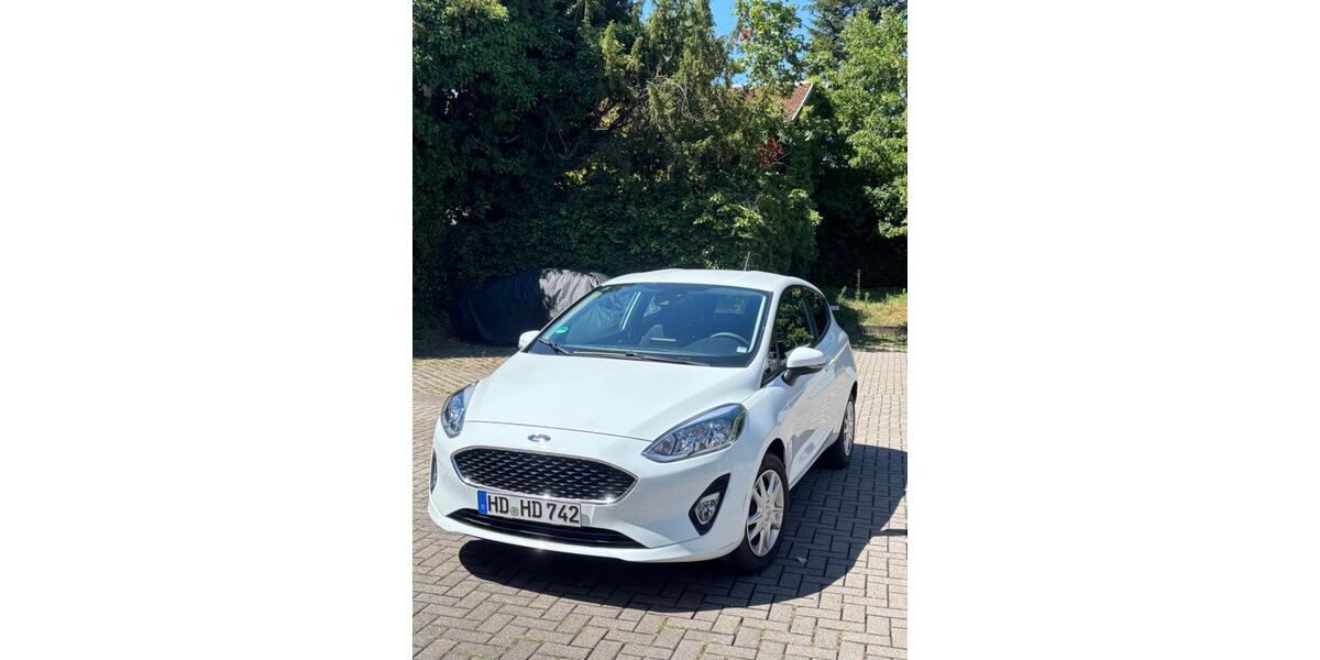 Ford Fiesta 111.700 km 7.100 &euro; Wiesloch 69168