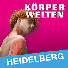 KÖRPERWELTEN - Tagesticket 31.10.2026 KÖRPERWELTEN Heidelberg