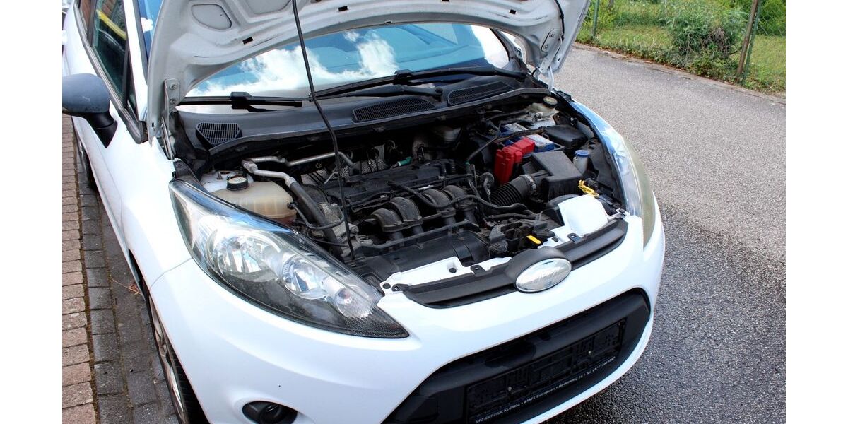 Ford Fiesta 162.413 km 3.500 &euro; Bechtheim 67595