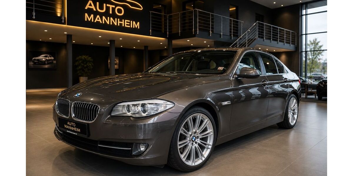 BMW 520 122.000 km 13.999 &euro; Mannheim 68199