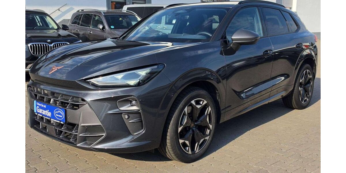 Cupra Terramar 10.760 km 36.390 &euro; Heddesheim 68542